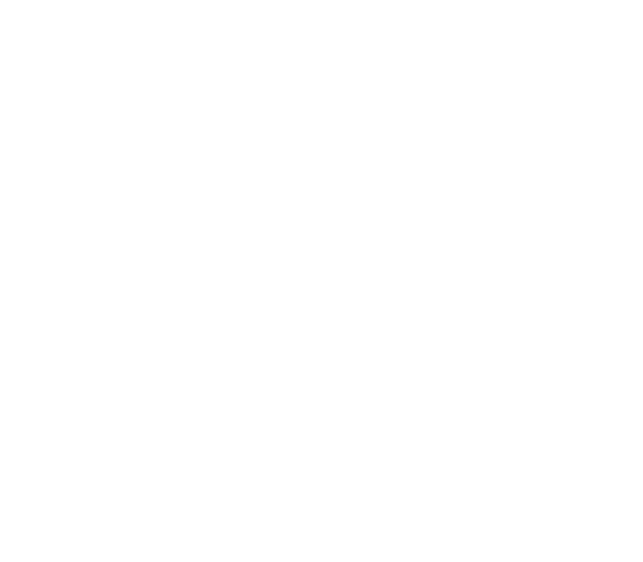 Al Fakher Dampfer Deutschland